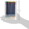 AKASHIYA TRADITIONAL WATERCOLOR BRUSH PEN- 30 COLOR SET