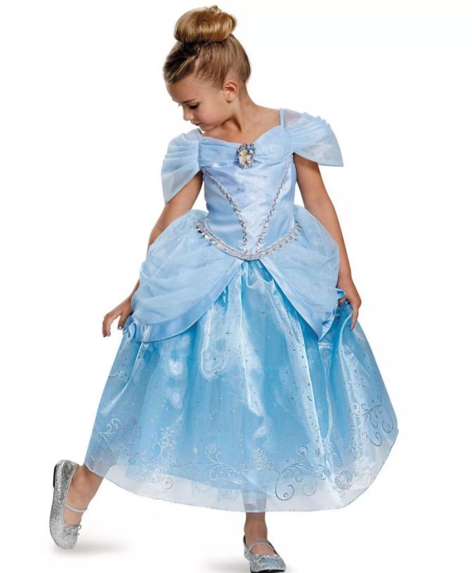 CINDERELLA COSTUME - DISGUISE